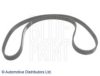 BLUE PRINT ADA107508 Timing Belt
